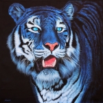 HELMUT KOLER"Blue Tiger on Black," 2012work # 201204acrylic on linen136 x 136 cm