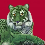 GREEN TIGER ON RED, 2009acrylic on canvas48 x 48 in.122 x 122 cm